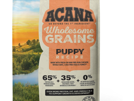 Acana Wholesome Grains Puppy Recipe Dry Dog Food on Sale