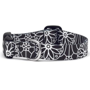 Up Country Mehndi Printed Dog Collar Supply