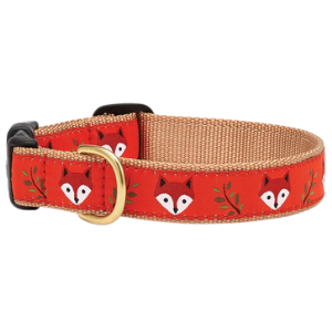 Up Country Foxy Dog Collar For Sale