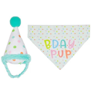 Pearhead Birthday Pup Small   Medium Bandana & Hat Set Supply