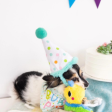 Pearhead Birthday Pup Small   Medium Bandana & Hat Set Supply