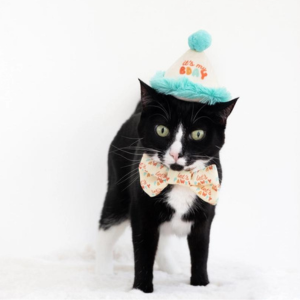 Pearhead Happy Purrday Cat Hat and Bowtie Set Online