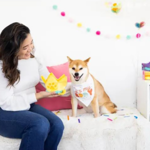 Pearhead Happy Barkday Medium   Large Bandana & Hat Set Fashion