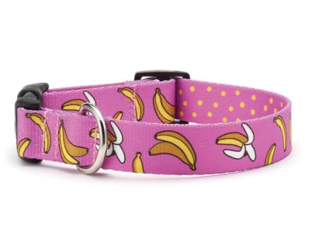 Up Country Go Bananas Printed Dog Collar Hot on Sale