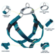 2 Hounds Design Freedom No-Pull Dog Harness With Leash Teal Online