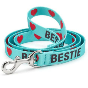 Up Country Bestie Printed Dog Lead 5 Foot - 1  Wide For Sale