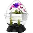 Bio Bubble Pets Llc - Wonder Bubble With Bubble Tunnel Kit Supply