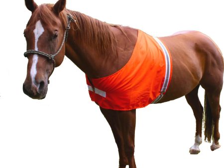 Dog Not Gone - Safety Horse Vest Sale